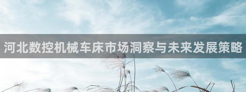 天辰说娱乐:河北数控机械车床市场洞察与未来发展策略