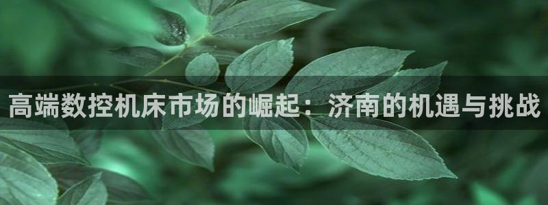 天辰娱乐-18113:高端数控机床市场的崛起:济南的机遇与挑战