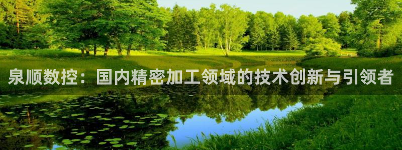 天辰娱乐总管:泉顺数控:国内精密加工领域的技术创新与引领者