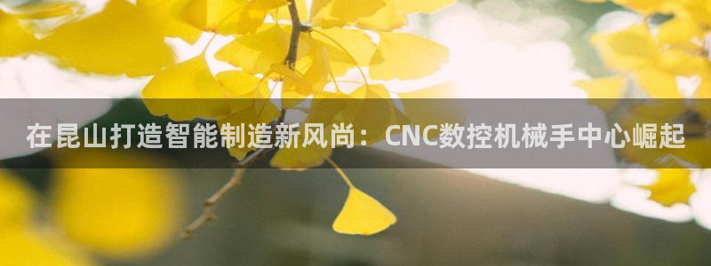 天辰娱乐22650:在昆山打造智能制造新风尚:CNC数控机械手中心崛起