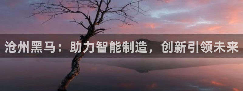 天辰娱乐测试:沧州黑马:助力智能制造,创新引领未来