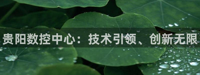 天辰娱乐53551:贵阳数控中心:技术引领、创新无限