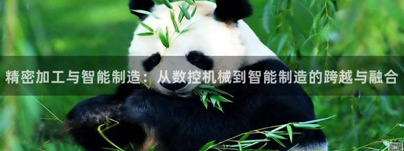 天辰娱乐下载:精密加工与智能制造:从数控机械到智能制造的跨越与融合