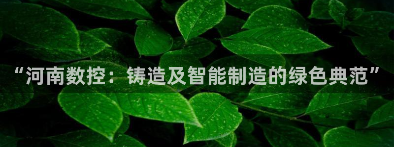 天辰 娱乐 注册:“河南数控:铸造及智能制造的绿色典范”