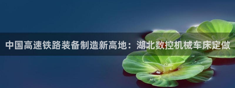 天辰娱乐解封:中国高速铁路装备制造新高地:湖北数控机械车床定做