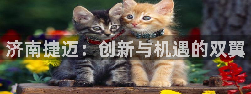 天辰娱乐总管:济南捷迈:创新与机遇的双翼