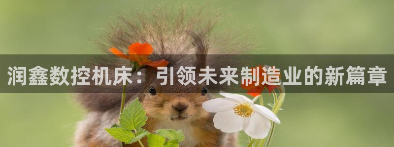 天辰娱乐娱乐:润鑫数控机床:引领未来制造业的新篇章